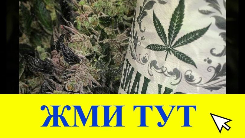 Купить наркотики в Луге